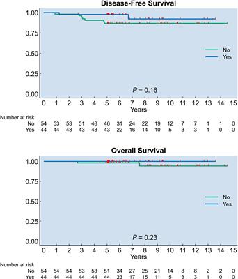 The impact of hysterectomy on oncological outcomes in postmenopausal patients with borderline ovarian tumors: A multicenter retrospective study